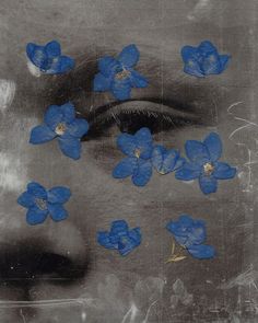 blue flowers are floating in the air over a black and white photo with an eye