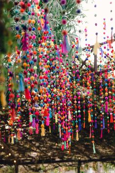 a bunch of beads hanging from the side of a tree with trees in the background