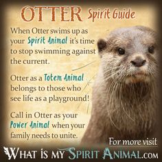 an otter with the caption that says, what is my spirit animal?