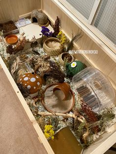 an open box filled with lots of different types of plants and animals in the dirt