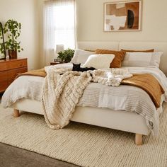 a cat is laying on the bed with blankets and pillows in a bedroom area that has carpeted flooring