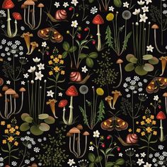 a black background with mushrooms, flowers and plants on it's sides is shown