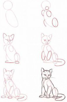 several different types of cats are shown in this drawing lesson for children to learn how to draw