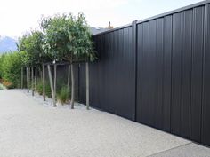 a row of trees in front of a black fence with gravel on the ground next to it