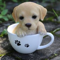 a puppy sitting in a cup with paw prints on it's side and looking at the camera