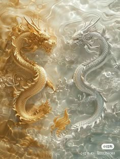 two golden and white dragon in water with gold swirls on the sides, both facing each other