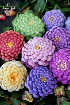 there are many different colored flowers together