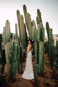 a woman in a wedding dress standing next to a large group of cacti