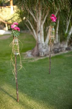 two tall vases with pink flowers are in the grass