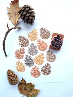 some pine cones and leaves on a white surface