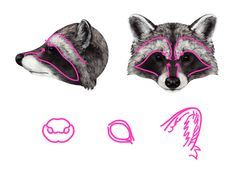 two raccoons with pink lines on their faces and the other one is drawn