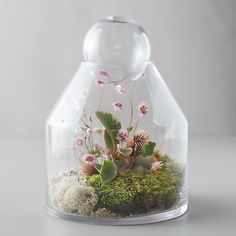 a glass vase filled with plants and rocks