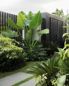 a garden with lots of green plants next to a white fence and black metal lockers