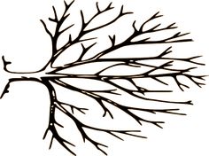 a black and white drawing of a leafy tree branch with no leaves on it