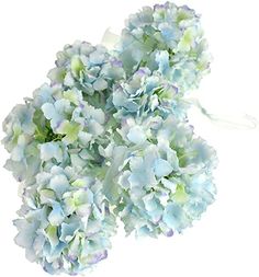 blue and green flowers on white background