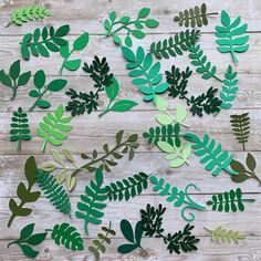 paper cut out of leaves on a wooden surface