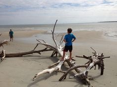 two people standing on the beach next to driftwood