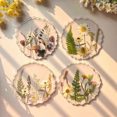 four plates with pressed flowers on them sitting next to some daisies and wildflowers