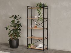 a potted plant sitting on top of a shelf next to a bookshelf