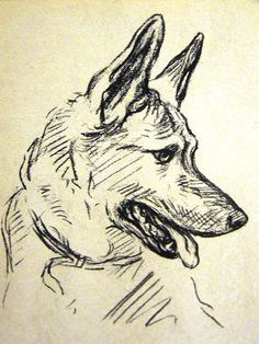 a black and white drawing of a dog's head