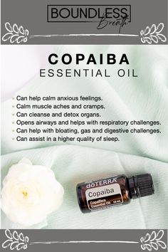 Oils For Body Aches, Copaiba Oil, Essential Oil Roller Bottle Recipes, Copaiba Essential Oil, Body Aches, Doterra Essential Oils Recipes, Essential Oil Diffuser Blends Recipes, Essential Oil Remedy, Essential Oils Guide