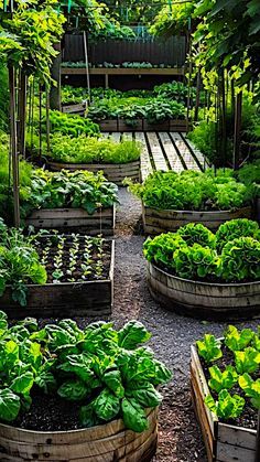 a garden filled with lots of green plants