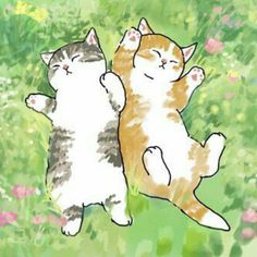 two cats laying on their back in the grass