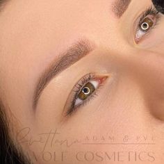 Pmu Ombre Brows, Powder Brows For Blondes, Natural Powder Brows, Ombre Powder Brows Before And After, Ombre Powder Brows Healing Process, Powder Brows Vs Microblading, Tattoo Eyebrows Before And After, Ombré Powder Brows, Powder Eyebrows Permanent