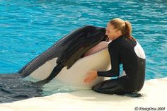 a woman sitting on top of a dolphin in a pool