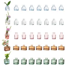 an assortment of vases and bottles with flowers in them on a white background,