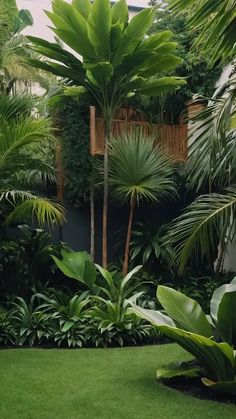 a lush green garden with lots of trees and plants