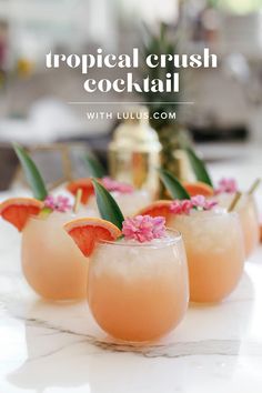 tropical crush cocktail with luaus com