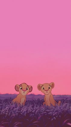 two lion cubs sitting in the middle of a field under a pink sky at sunset