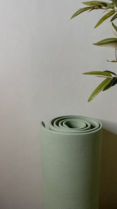 there is a roll of yoga mat next to a potted plant on the floor