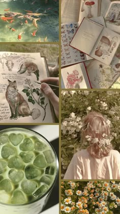 the collage shows pictures of flowers, water and books in various stages of development