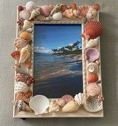 a frame with seashells hanging on the wall