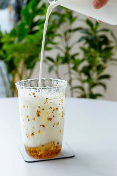 someone is pouring milk into a glass with food in it on a table next to a potted plant