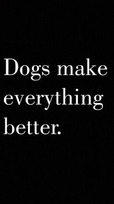 the words dogs make everything better on a black background