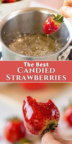 the best candied strawberries in sugar syrup and up close. Candied Strawberries Recipe, Candied Strawberries, Infused Waters, Candy Recipes Homemade, Dessert Dips, Homemade Candies, Fruit Infused, Fresh Strawberries