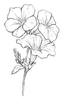 three flowers are shown in black and white