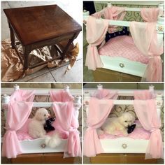 four different pictures of a dog in a bed with pink drapes on the top and bottom