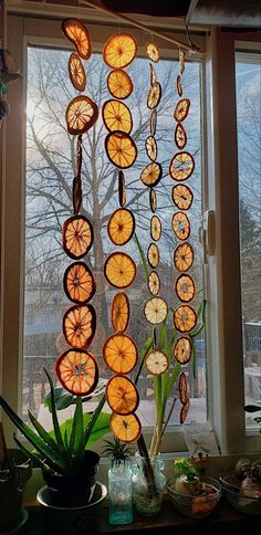 the sun is shining through the window and there are many orange slices hanging from it