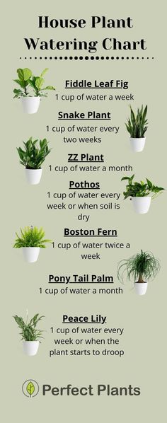 the house plant watering chart is shown in this graphic style, with instructions for how to use