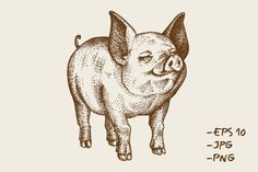 a drawing of a pig with the words, efs 101 - png on it