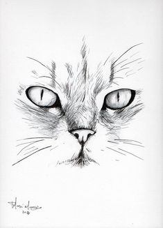 a black and white drawing of a cat's face