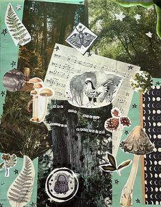 an altered collage with many different things in the background, including mushrooms and leaves