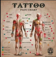 an image of the anatomy of a man's body with labels on each side