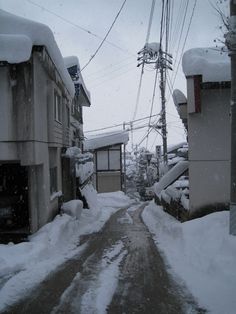 a snowy street with houses and power lines