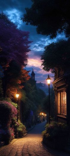 a cobblestone street at night with lights on