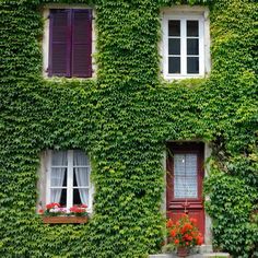 an old building covered in vines and flowers with red shutters on each window boxes